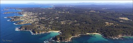 Lilli Pilli - Malua Bay - NSW (PBH4 00 9972)